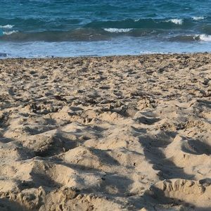 Meet your Posher, Lishann